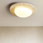 ceiling lamp2